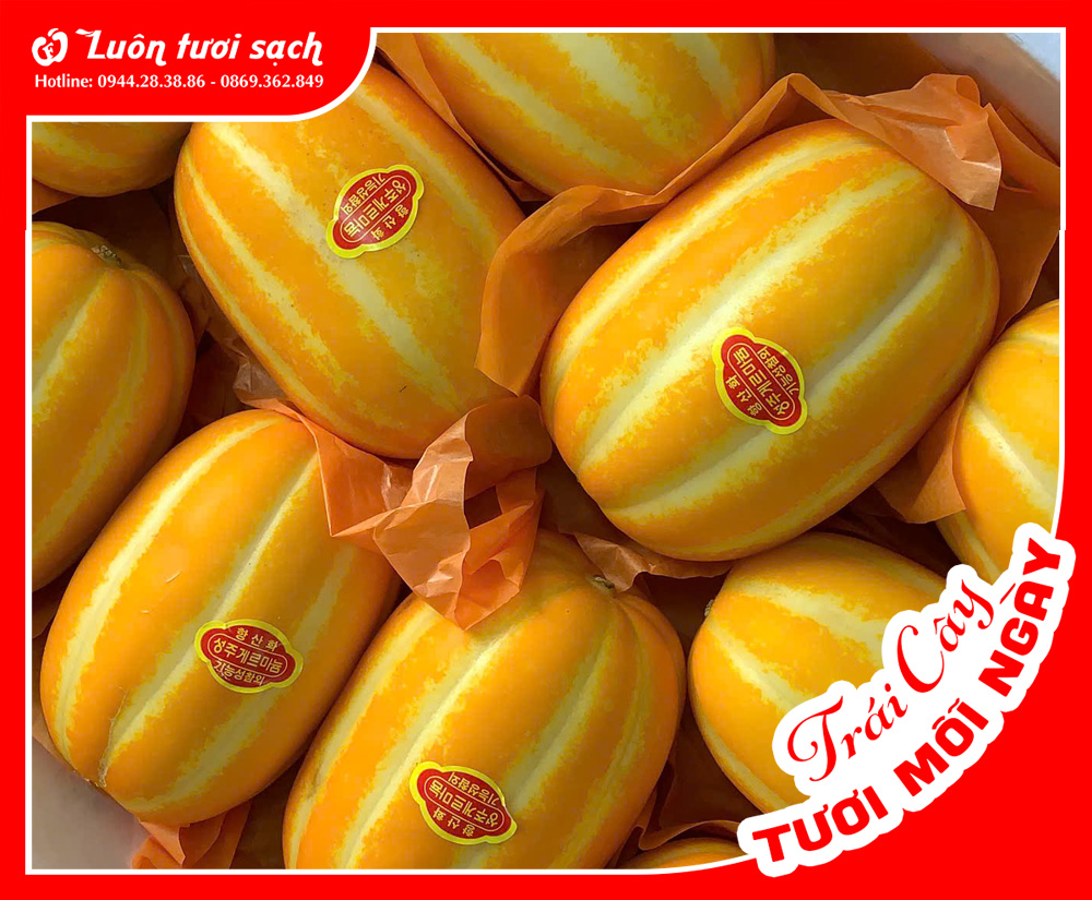 Dưa Lê Hàn Quốc